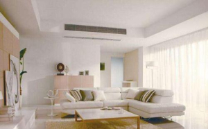 中央91视频色版全品牌選購攻略